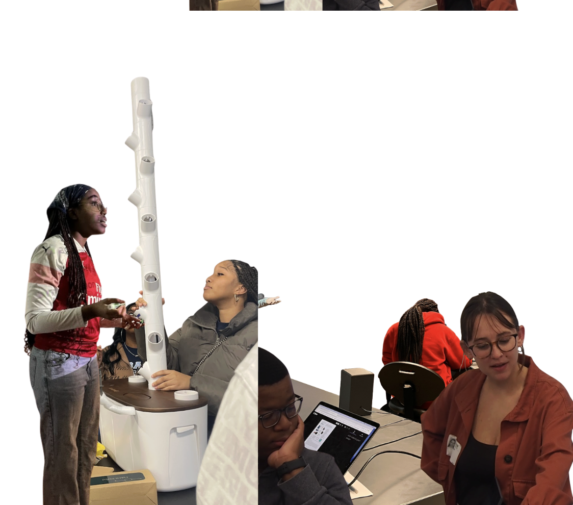 Students working with vertical farming equipment and hydroponic systems in educational setting