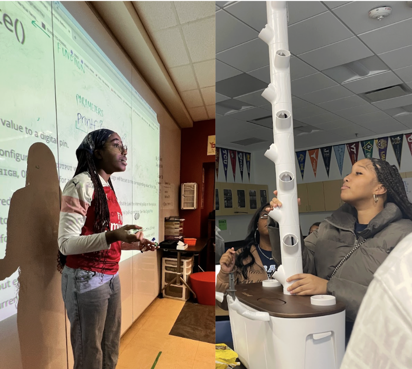 Students working with vertical farming equipment and hydroponic systems in educational setting